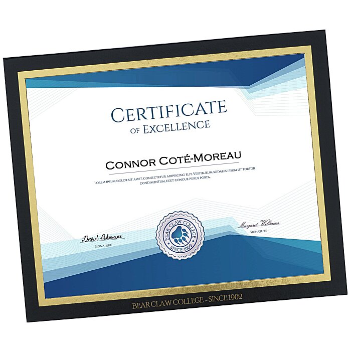Custom Mat Certificate Frame - 8